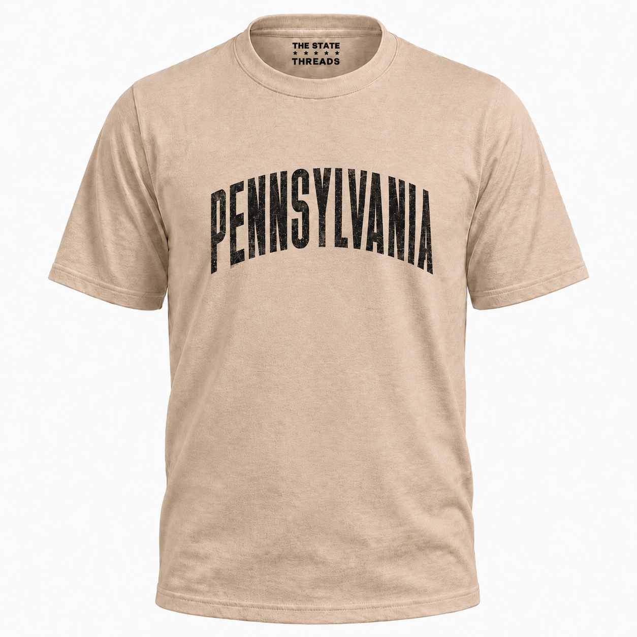 Pennsylvania Distressed Vintage Bold Shirt