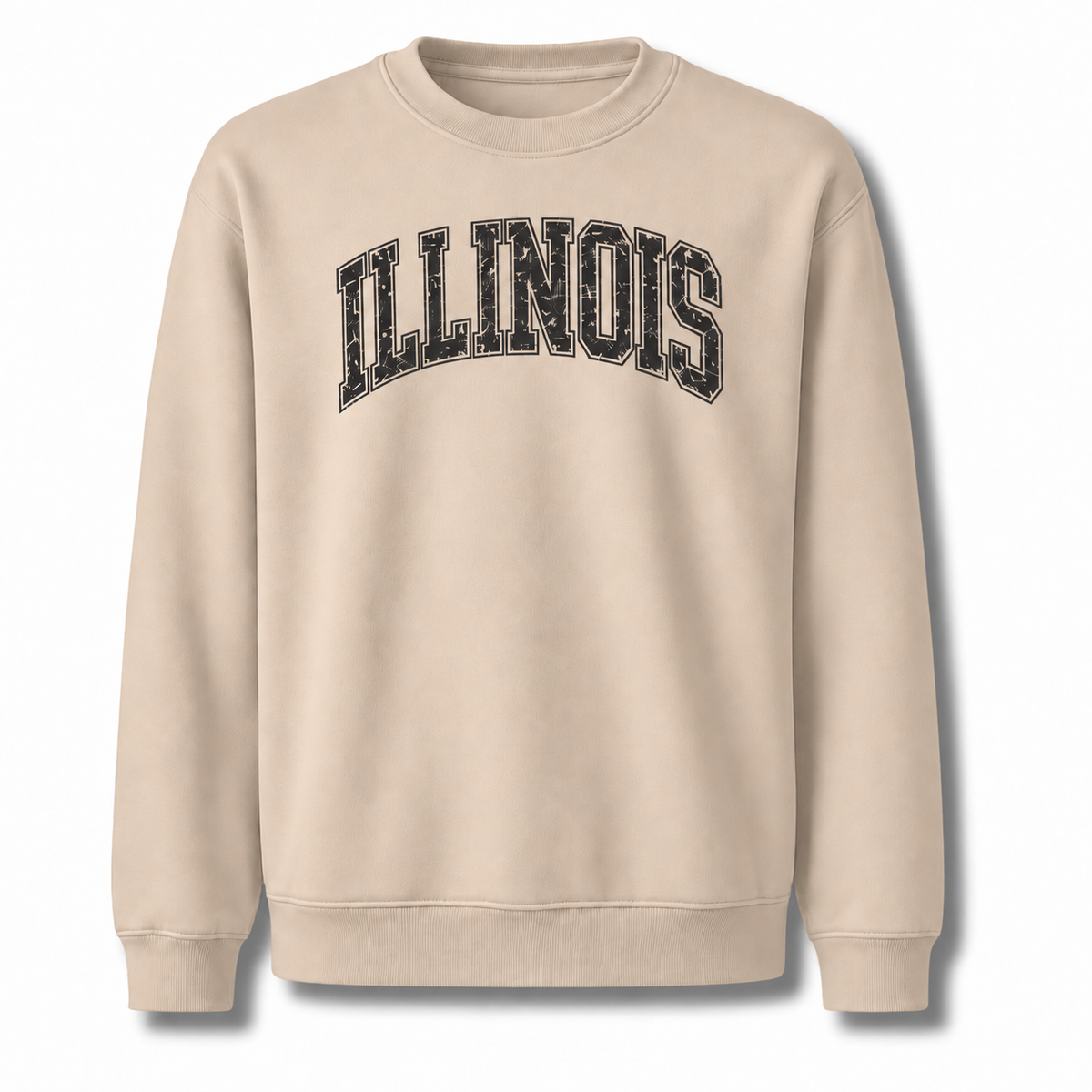 Illinois Bold Collegiate Arched Varsity Vintage Sweatshirt