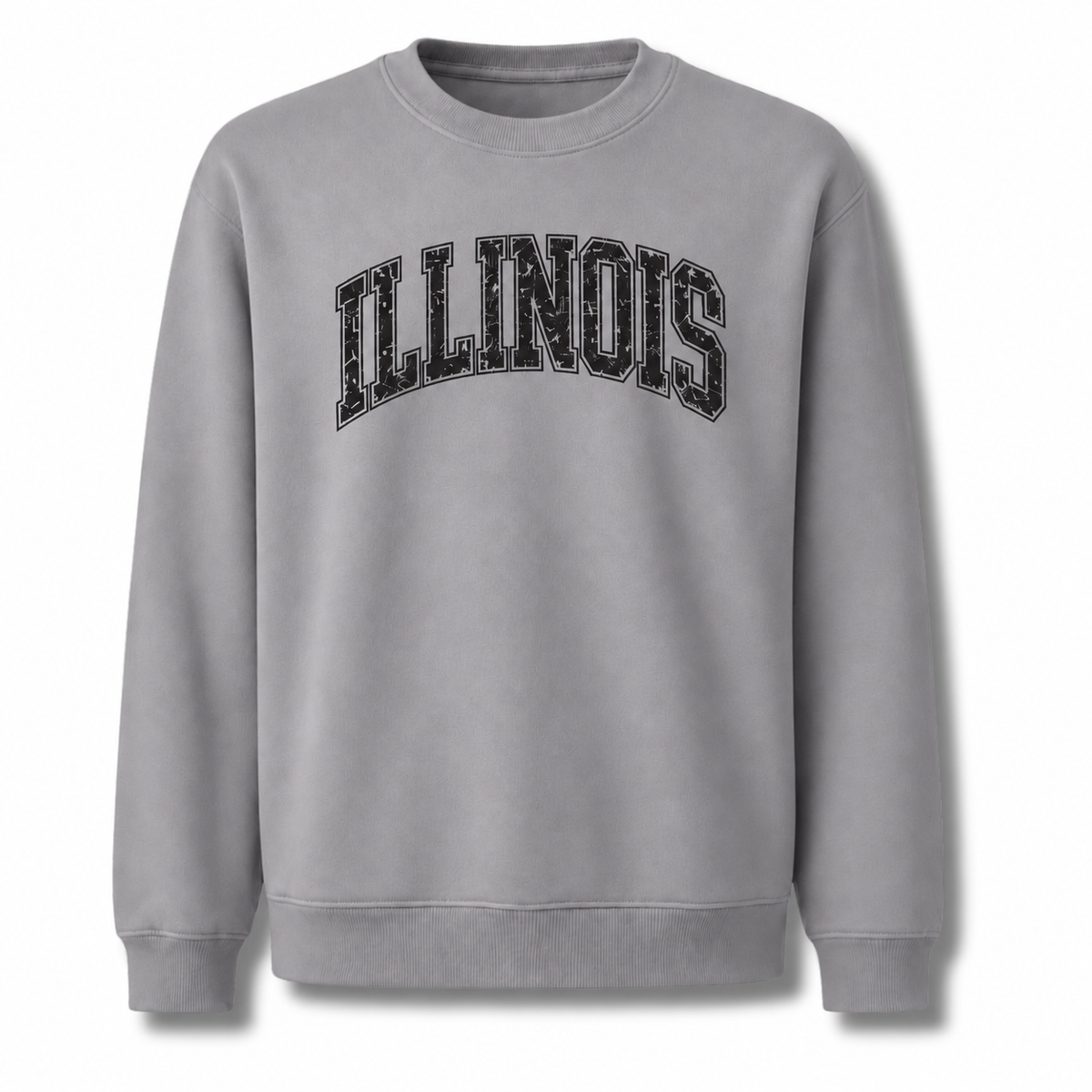 Illinois Bold Collegiate Arched Varsity Vintage Sweatshirt