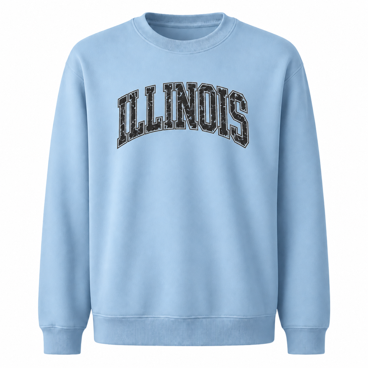 Illinois Bold Collegiate Arched Varsity Vintage Sweatshirt