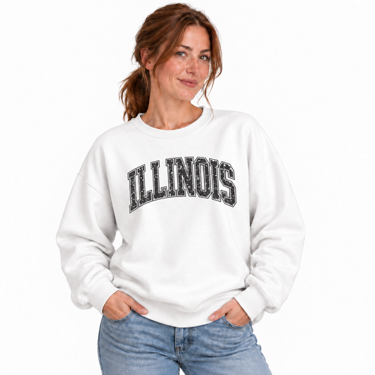 Illinois Bold Collegiate Arched Varsity Vintage Sweatshirt