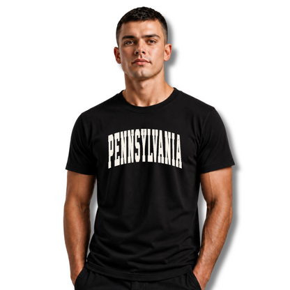Pennsylvania Distressed Vintage Bold Shirt