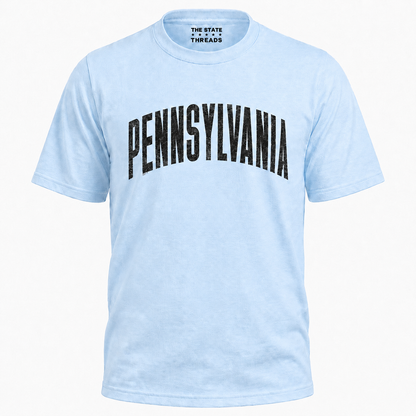 Pennsylvania Distressed Vintage Bold Shirt