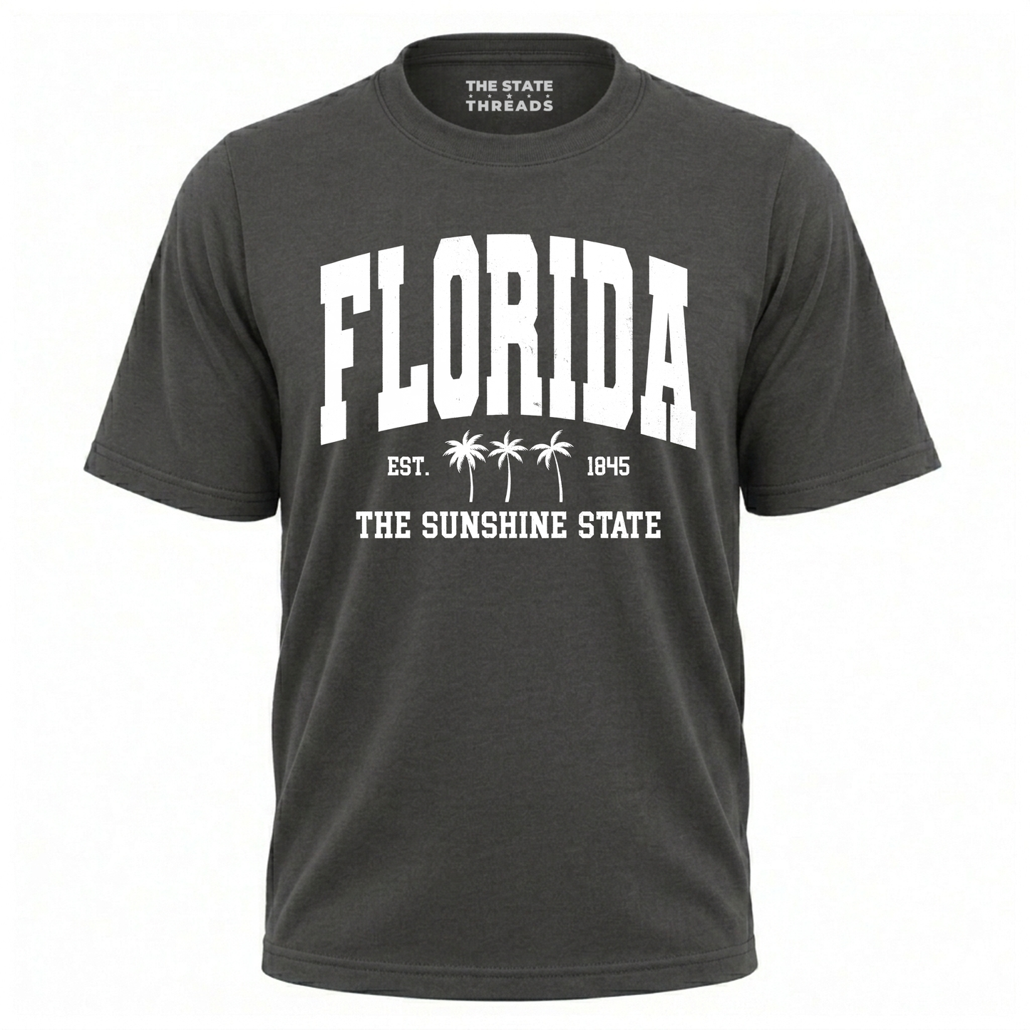 Florida The Sunshine State Vintage Palm Trees Varsity Shirt