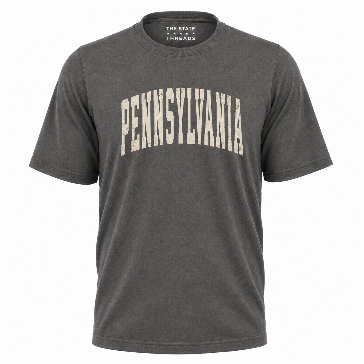 Pennsylvania Distressed Vintage Bold Shirt
