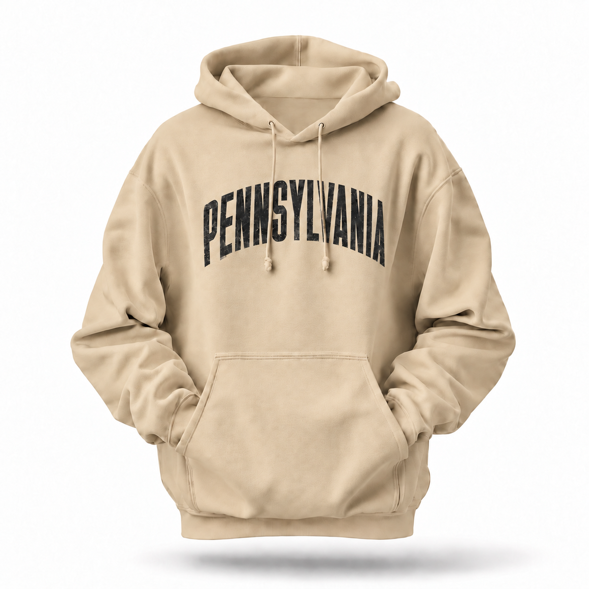 Pennsylvania Collegiate Arch Distressed Varsity Letters Hoodie