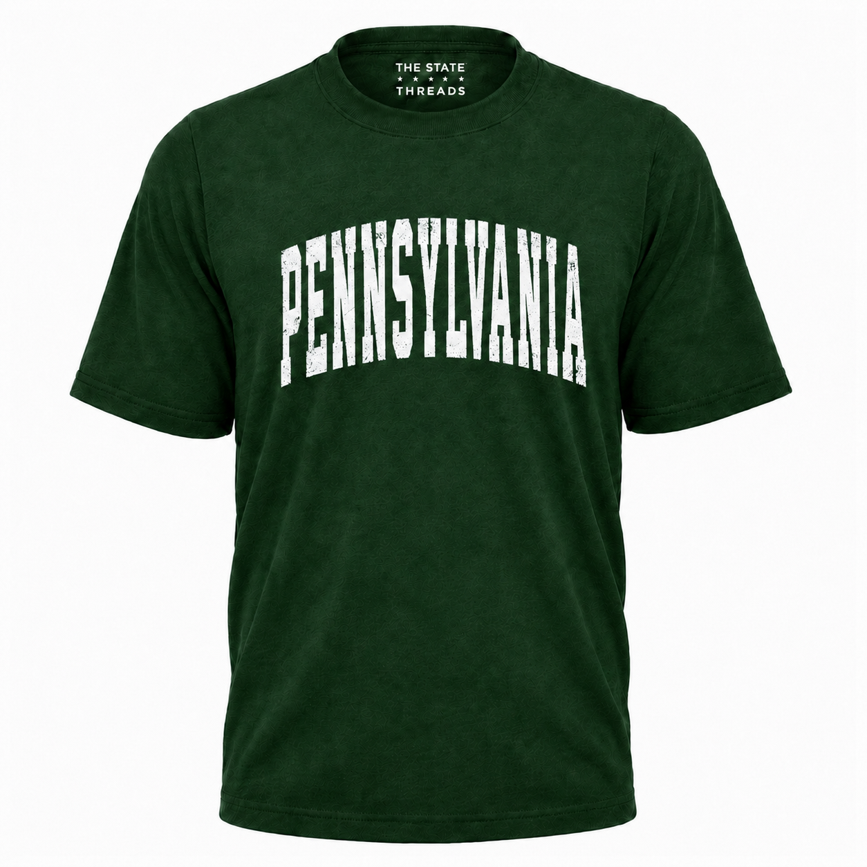 Pennsylvania Distressed Vintage Bold Shirt