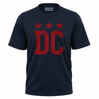 Washington DC Retro Distressed Star Flag Shirt