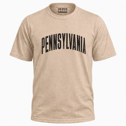 Pennsylvania Distressed Vintage Bold Shirt