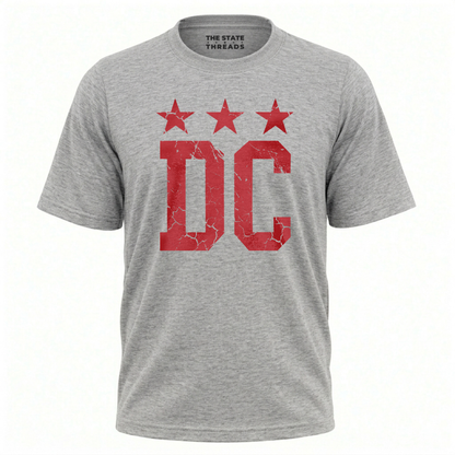 Washington DC Retro Distressed Star Flag Shirt