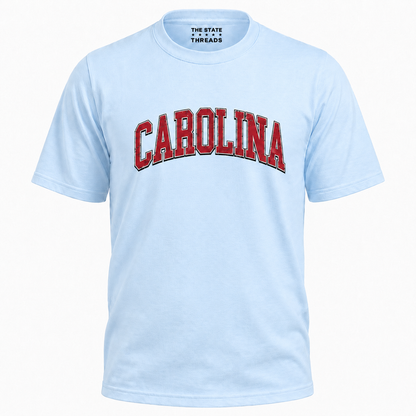 South Carolina Vintage Distressed Game Day Shirt