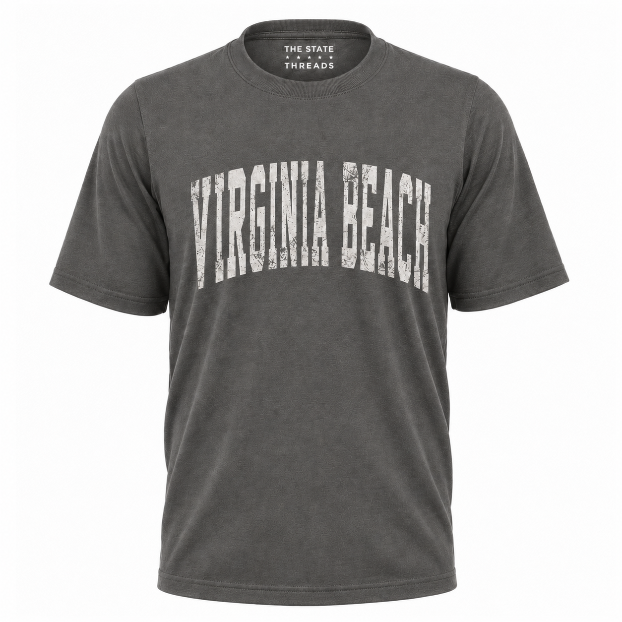 Virginia Beach Distressed Bold Shirt