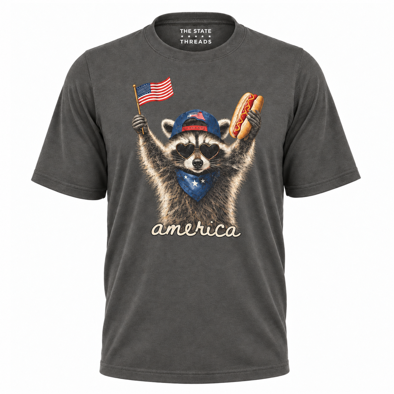 America Patriotic Raccoon Hot Dog Flag Graphic Shirt
