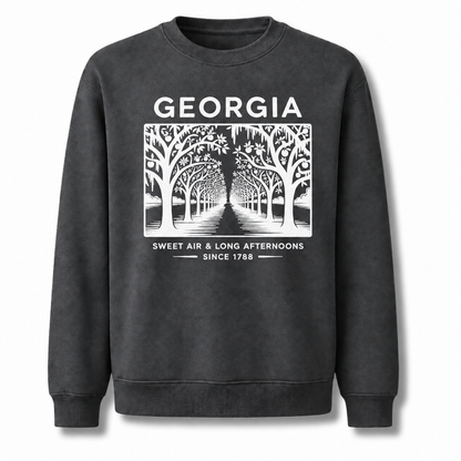 Georgia Sweet Air Long Afternoons Historic Avenue Sweatshirt - Dark Heather