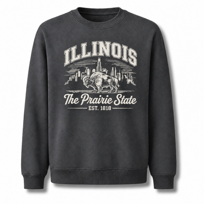 Illinois American Bison Prairie Wildlife Heritage Sweatshirt - Dark Heather