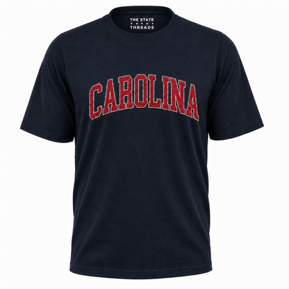 South Carolina Vintage Distressed Game Day Shirt